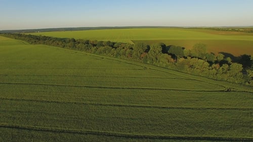 Beautiful Aerial View of Summer Meadow with Sun Blinks and Fields