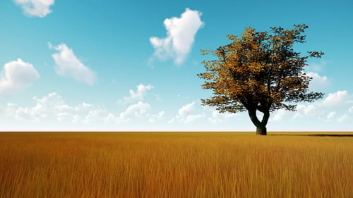 Autumn Tree On Dry Meadow