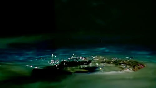 A Young Informal Woman Has Dreadlocks on Her Head, She and Her Husband Are Submerged Under Water