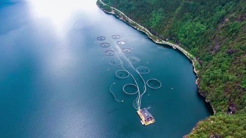 Aerial Footage Farm Salmon Fishing in Norway