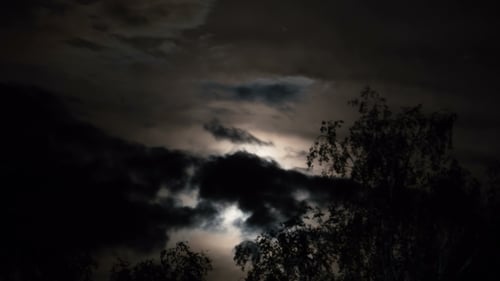 Der
Vollmond bewegt sich am Nachthimmel durch dunkle Wolken und Bäume.