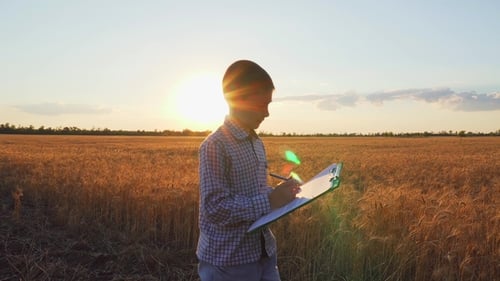Agronomist Boy Records Testimony From Field in Documents at Sunset