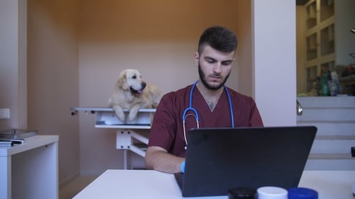 Veterinarian Typing on Laptop with Dog in Background