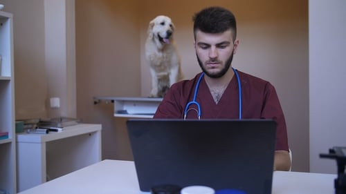 Young Veterinarian Typing on Laptop at Pet Clinic