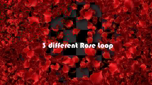 Rose Loop