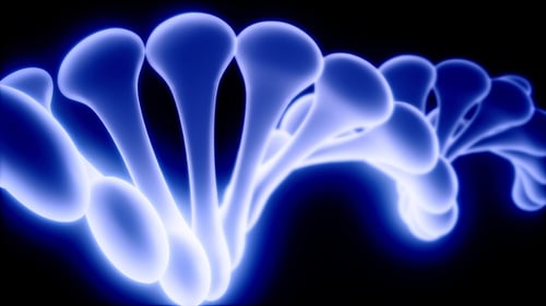 DNA Model Rotate