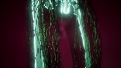 Futuristic Human Anatomy with Glowing Skeleton and Nerve System