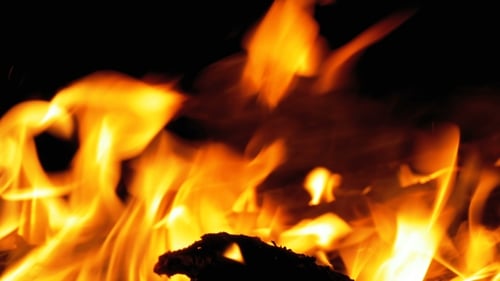 Campfire In The Night. Burning Logs in Orange Flames