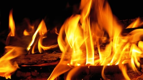 Campfire In The Night. Burning Logs in Orange Flames