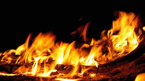 Campfire In The Night. Burning Logs in Orange Flames