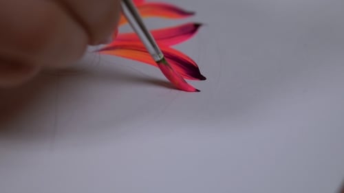 Blume auf weißer Leinwand zeichnen