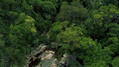 Rocky River und grüner Wald in Berg-Luftlandschaft
