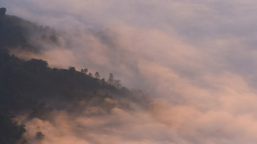 Nebel