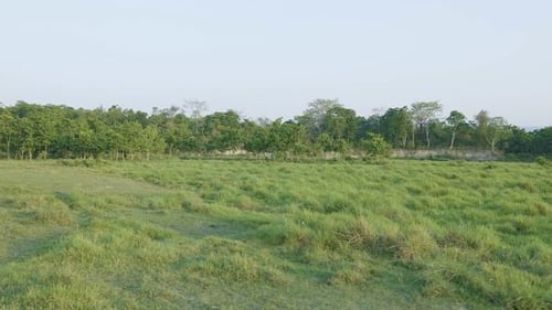 Regenwald im Chitwan-Nationalpark, Nepal