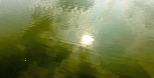 Réflexion du soleil et des nuages sur la surface d'eau verte