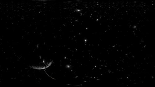 Floating Dandelion Seeds Loop Background