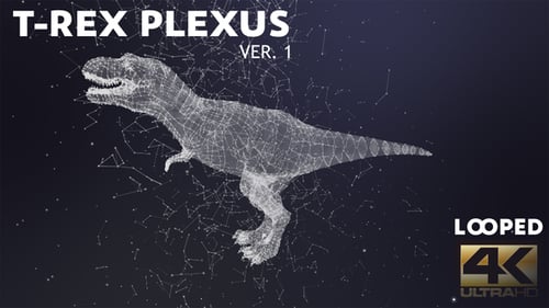 Digital Wireframe T-Rex Animation with Plexus Background