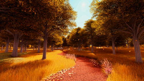 Footpath Through Forest in Autumn