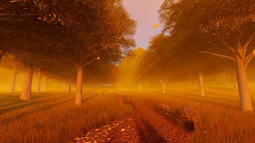 Forest In Autumn