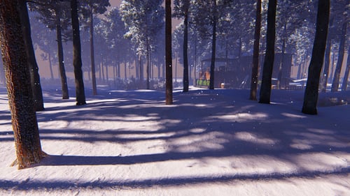 House In The Forest