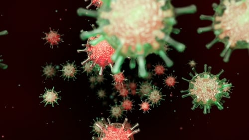 Movement Through a Blood Vein with Virus Cells