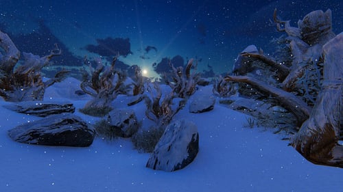 Winter Fairy Tale Forest