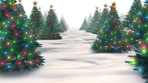 Christmas Trees