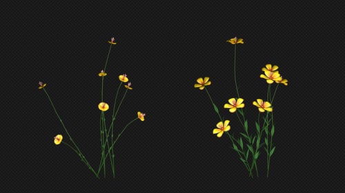 Wachsende gelbe Blume