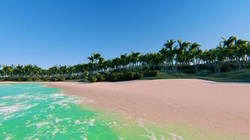Flying Above Sand Sea Beach