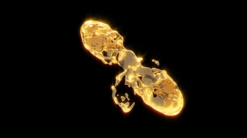 Two Drops Collide on a Black