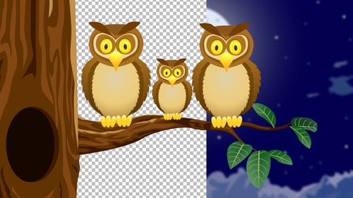 Cartoon Owls Hooting on a Tree Branch at Night