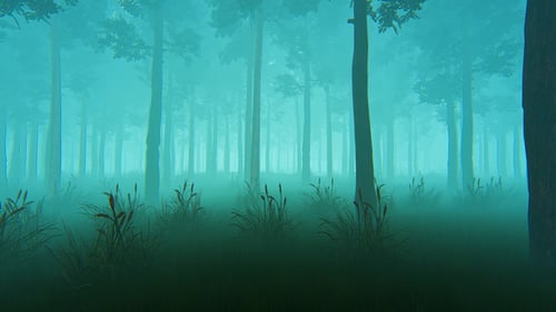 Wald im Nebel
