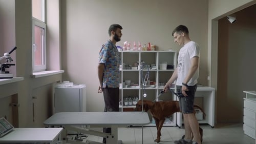 Veterinarian and Dog Owner Consulting in Clinic
