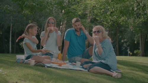 Family Enjoys Picnic Together on Grassy Lawn
