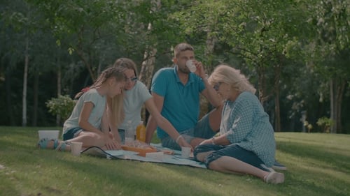 Relaxed Family Having Picnic in Summer Park