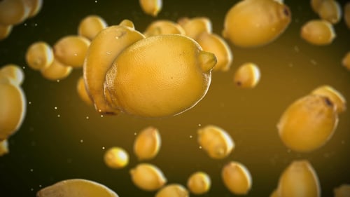 Flying Lemon