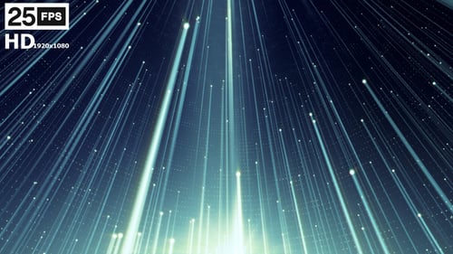 Netzwerk 05 HD