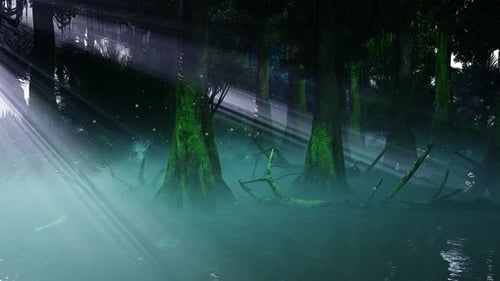 Rayons de soleil dans la jungle tropicale
