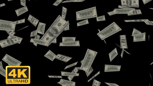 Realistic Falling One Hundred Dollar Bills Money Rain