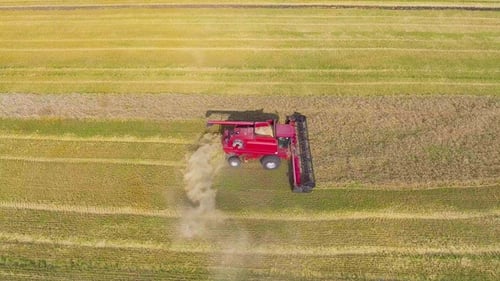 Vista aérea de cosechadora roja trabajando en un gran campo de trigo