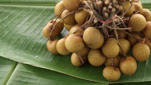 Manojo de fruta tailandesa tropical exótica fresca, cruda, Dimocarpus Longan, girando sobre una hoja de plátano