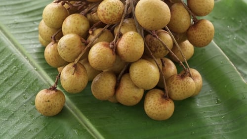 Bunch of Fresh Raw Exotic Tropical Thai Fruit Dimocarpus Longan Rotating on Banana Leaf