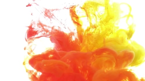 Abstract Red and Yellow Ink Plumes in Water
