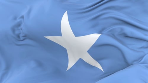 Realistic Waving Somalia National Flag Seamless Loop