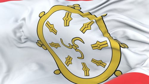 Realistic Regional Flag Waving in the Wind Animation