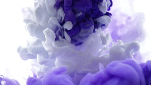 Purple and White Ink Drops in Water