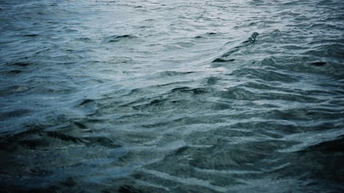 Vagues océaniques
