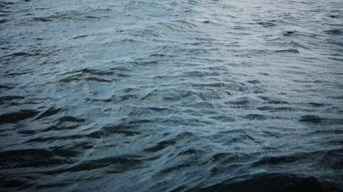 Ocean Waves
