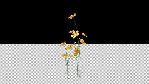 Yellow Petunia