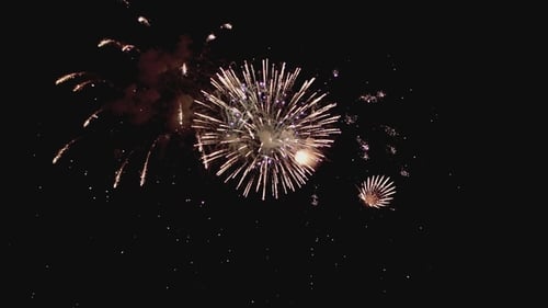 Fireworks Exploding with Radial Patterns in Night Sky